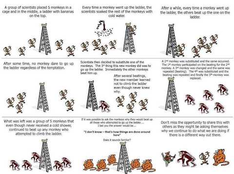 Monkey Ladder cartoon